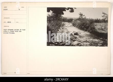 Légende : photo prise en 1919 montrant les conséquences d'une bataille entre les troupes alliées et les forces allemandes pendant la première Guerre mondiale L'image représente les corps de soldats allemands décédés allongés sur la route. La photo fait partie de la collection des activités militaires américaines pendant la guerre. Banque D'Images