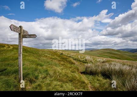 Panneau indiquant Pennine Way, Cheviot Hills, Northumberland, Angleterre Banque D'Images