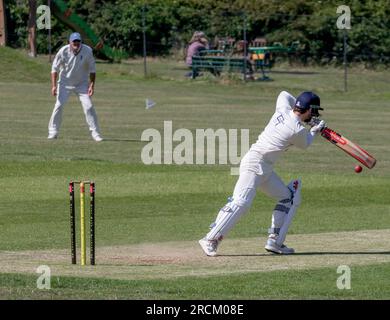 East Dean et Friston v Seaford. Match de cricket samedi après-midi dans le Sussex. Banque D'Images