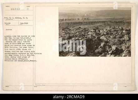 Le VP E. J. Gibbon, S. C., a pris une photo en décembre 1918 en descendant les pentes du Cope 252, situé à Dun sur Meuse, en France. La photo montre la ville de Brieulbes sur Meuse, qui a été prise à l'ennemi par la 80e division du 3e corps d'armée, États-Unis le 1 novembre 1918. Il représente également des tranchées allemandes capturées et des enchevêtrements de fils barbelés lors de la dernière phase de l'offensive Argonne Meuse par la 5e division du 3e corps d'armée aux États-Unis le 5 novembre 1918. Banque D'Images