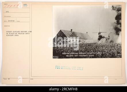 Avion allemand abattu par des canons antiaériens belges pendant la première Guerre mondiale. L'image montre l'avion englouti dans les flammes. La photographie est étiquetée N04007 et marquée pour un usage officiel seulement. Banque D'Images