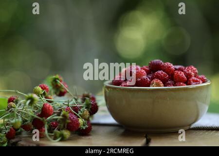 Bol et fraises sauvages savoureuses sur souche en bois sur fond vert flou. Espace pour le texte Banque D'Images