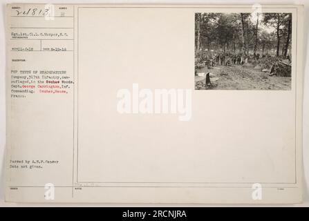 Le sergent de 1e classe L. G. Morper du 8e régiment de cavalerie est représenté sur cette photographie prise le 19 septembre 1918. L'image montre les tentes camouflées pour chiots de la compagnie du quartier général du 317th Infantry, commandée par le capitaine George Carrington. L'emplacement est Osches Woods à Osches, Meuse, France. La photo a reçu l'autorisation du censeur A. E. P., mais la date exacte de délivrance est inconnue. Banque D'Images