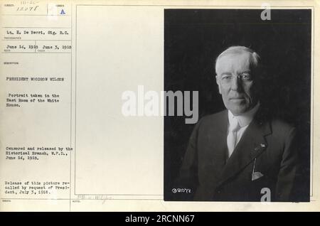 Le lieutenant E. de Berri du signal corps a pris un portrait du président Woodrow Wilson le 3 juin 1918. La photo a été prise dans la salle est de la Maison Blanche. Il a d'abord été publié le 14 juin 1918, mais a été rappelé plus tard à la demande du président le 3 juillet 1918. Banque D'Images