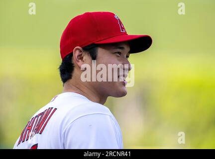 Anaheim, Californie, États-Unis. 15 juillet 2023. SHOHEI OHTANI, joueur de baseball des Los Angeles Angels, s'entraîne sur le terrain avant un match avec les Astros de Houston le 15 juillet 2023 au Angel Stadium d'Anaheim. Les Angels ont remporté le match 13-12 en 10 manches. (Image de crédit : © Mark Edward Harris/ZUMA Press Wire) USAGE ÉDITORIAL SEULEMENT! Non destiné à UN USAGE commercial ! Banque D'Images