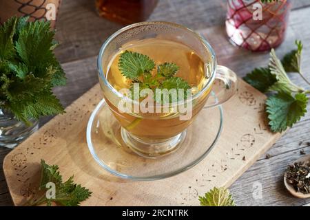 Feuilles d'ortie fraîches dans une tasse de tisane sur une table Banque D'Images