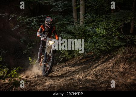 Pilote de motocross en forêt. Concept de sport extrême Banque D'Images