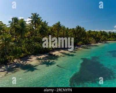 Vue aérienne de la plage de Boca del Drago, Bocas del Toro, Panama - stock photo Banque D'Images