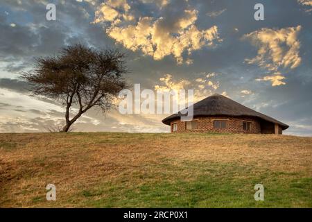 maison africaine rondavel avec toit de chaume et un arbre solitaire Banque D'Images