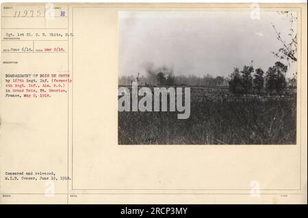 Soldats du 167e régiment d'infanterie, anciennement connu sous le nom de 4e régiment de la garde nationale de l'Alabama, effectuant un bombardement dans le Bois de Chein à Grand Bois, St. Maurice, France le 2 mai 1918. La photographie a été prise par le sergent 1st Cl. C. H. White, S.C. et reçu le 6 juin 1918. Il a été censuré et publié par le censeur du M.I.B le 10 juin 1918. Banque D'Images