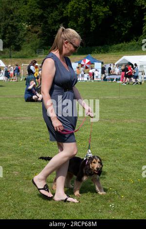 Dame avec chien au Rhu Gala, exposition canine, Écosse Banque D'Images