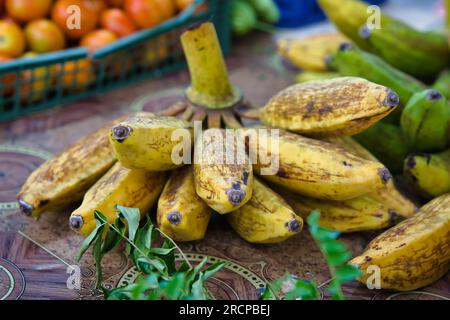 Bananes dans le marché de la ville stalle dans la ville Victoria, Mahé Seychelles. Banque D'Images