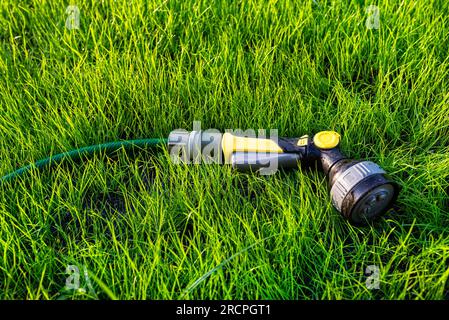 Un pistolet d'arrosage allongé sur de jeunes herbes avec un tuyau attaché. Banque D'Images