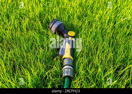 Un pistolet d'arrosage allongé sur de jeunes herbes avec un tuyau attaché. Banque D'Images