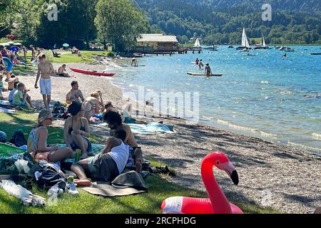 Rottach Egern, Deutschland. 15 juillet 2023. Jour d'été 2023 (07/15/2023) à Tegernsee. Ringsee/Badeanlage Schorn, mieux connu sous le nom de Popperwiese dans Rottach Egern. Baigneurs, vacanciers, plage, lac, baigner, nager, ? Crédit : dpa/Alamy Live News Banque D'Images