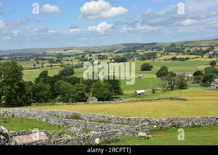 Stennerskeugh, paysage calcaire, EdenValey, Cumbria Banque D'Images