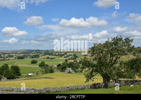 Stennerskeugh, paysage calcaire, EdenValey, Cumbria Banque D'Images