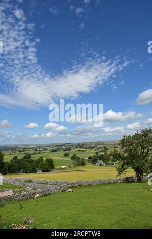 Stennerskeugh, paysage calcaire, EdenValey, Cumbria Banque D'Images