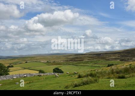 Stennerskeugh, paysage calcaire, EdenValey, Cumbria Banque D'Images