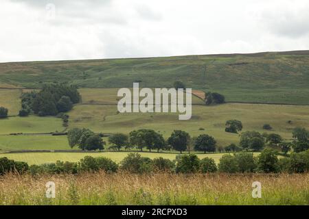 Pinker's Pond Middleham Low Moor Yorkshire Dales Banque D'Images