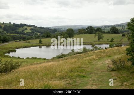 Pinker's Pond Middleham Low Moor Yorkshire Dales Banque D'Images