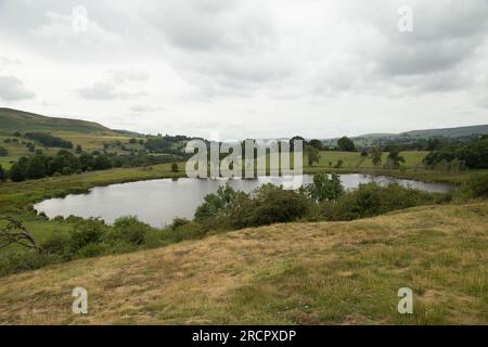 Pinker's Pond Middleham Low Moor Yorkshire Dales Banque D'Images