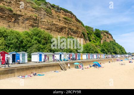 Cabanes de plage colorées sur la promenade, Small Hope Beach, Shanklin, île de Wight, Angleterre, Royaume-Uni Banque D'Images