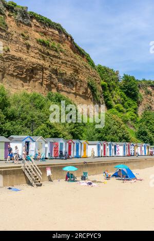 Cabanes de plage colorées sur la promenade, Small Hope Beach, Shanklin, île de Wight, Angleterre, Royaume-Uni Banque D'Images