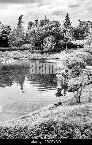 Le jardin japonais à Dijon en début d'été. Le jardin japonais à Dijon en début d'été. Banque D'Images