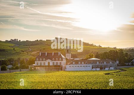 Reportage photos en montgolfière au-dessus de Pommard avec France montgolfières. Reportage photo en montgolfière au-dessus de Pommard avec France Montgolfi Banque D'Images