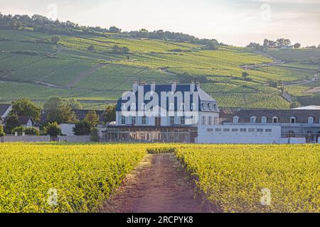 Reportage photos en montgolfière au-dessus de Pommard avec France montgolfières. Vignes et château de Pommard. Reportage photo dans une montgolfière ci-dessus Banque D'Images