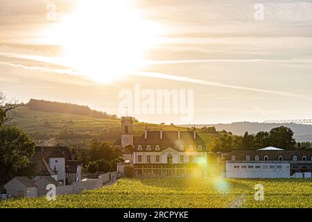 Reportage photos en montgolfière au-dessus de Pommard avec France montgolfières. Reportage photo en montgolfière au-dessus de Pommard avec France Montgolfi Banque D'Images