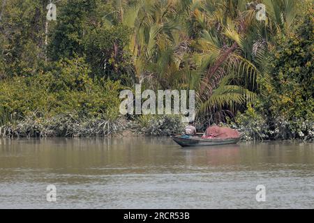 Pêcheurs dans les Sundarbans.cette photo a été prise du parc national des sundarbans, Bangladesh. Banque D'Images