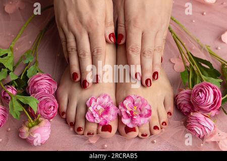 Gros plan de beaux pieds et mains féminins avec manucure et pédicure rouge, sur un tissu rose et avec des fleurs roses Banque D'Images