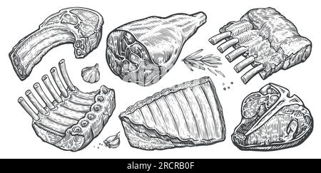 Morceaux de viande crue ensemble. Steak, côtes levées, illustration vectorielle de jambon. Style de gravure de croquis dessiné à la main Illustration de Vecteur