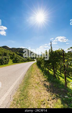 Follo / Prosecco Road / Prosecco Hills Banque D'Images