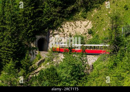 Train sur la Schynige Platte au-dessus d'Interlaken en Suisse. Banque D'Images