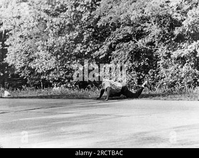 Hernandos, Mississippi : 6 juin 1966 James Meredith, leader des droits civiques juste après qu'il ait été abattu trois fois avec un fusil de chasse dans une embuscade par Aubrey James Norvell. La tête et les épaules de Norvell peuvent être vues dans les buissons juste à gauche de Meredith. Banque D'Images