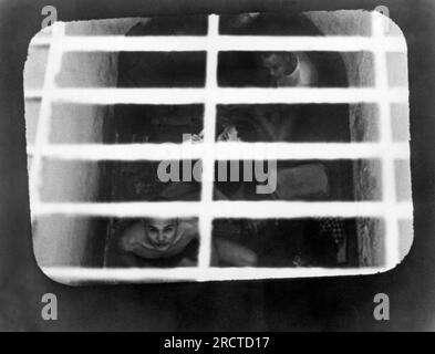 Île de con son, Sud Vietnam : juillet 1970 prisonniers politiques sud-vietnamiens regardant d'une cellule de "cage à tigre" dans une prison au large de la côte sud Vietnam. La photo a été prise par Tom Harkin, un assistant sur un US Visite du Congrès à la prison. Harkin devient plus tard sénateur de l'Iowa. Banque D'Images