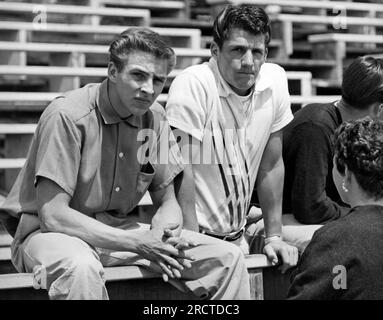 San Francisco, Californie : c. 1955 deux jeunes hommes avec des cheveux tranchés dans le dos assis dans des gradins. Banque D'Images