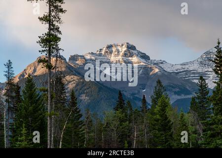 Vues d'été dans le parc national Banff en juillet avec ciel bleu magnifique, beau paysage de jour dans le camping, zone de camping de l'Alberta. Banque D'Images