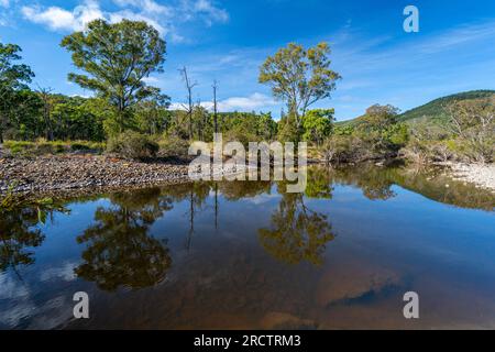 Trou d'eau saisonnier sur la rivière Severn, section Broadwater du parc national Sundown, Queensland Australie Banque D'Images