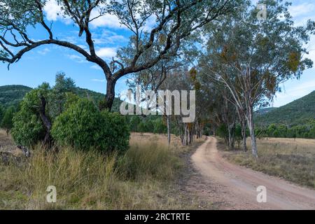 Route d'accès en terre au terrain de camping Broadwater, parc national Sundown, Queensland Australie Banque D'Images