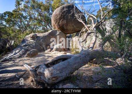 Granite Arch, Girraween National Park, Granite Belt Queensland Banque D'Images