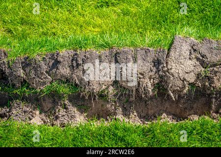 Un fossé creusé dans la pelouse pour la pose de tuyaux et l'installation d'irrigation. Sol sous pelouse verte et système de racines d'herbe Banque D'Images