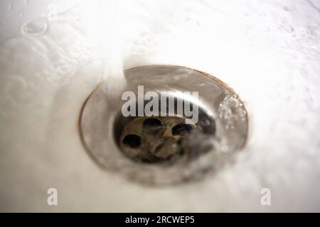 Berlin, Allemagne. 01 juillet 2023. L'eau du robinet s'écoule avec la pression du robinet dans un évier. Crédit : Fernando Gutierrez-Juarez/dpa/Alamy Live News Banque D'Images