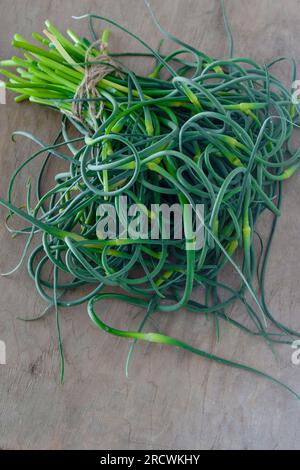 Flèches à l'ail. Un bouquet de verts sur la table. Alimentation en vitamines saine végétale. Tiges vertes de tiges plantules pour la salade et le ragoût. Herbes fraîches végétariennes, cuisine chinoise. Banque D'Images