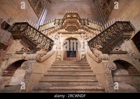 Célèbre escalier doré à la cathédrale de Burgos Banque D'Images