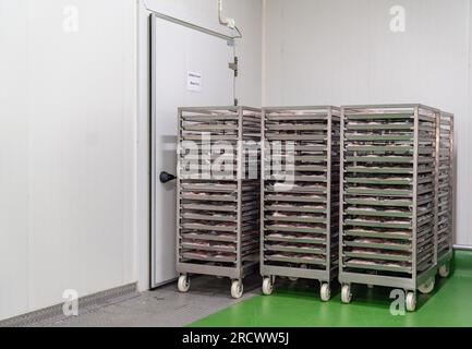 Pièces de viande de poulet sur les étagères et les racks en acier inoxydable préparer la congélation dans la chambre de congélation blas air. Entrepôt frigorifique. Banque D'Images