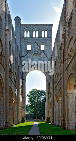 Partie des ruines de l'ancienne abbaye bénédictine de Jumièges en Normandie, France Banque D'Images